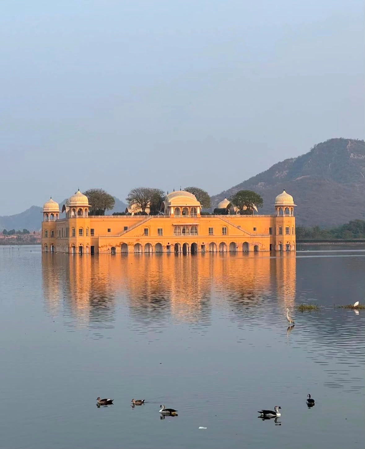 Golden Triangle with Ranthambore: Complete 6–8 Day Itinerary